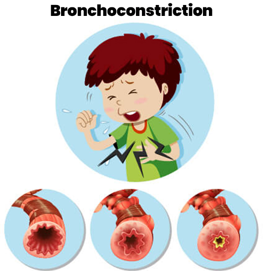Bronchoconstriction