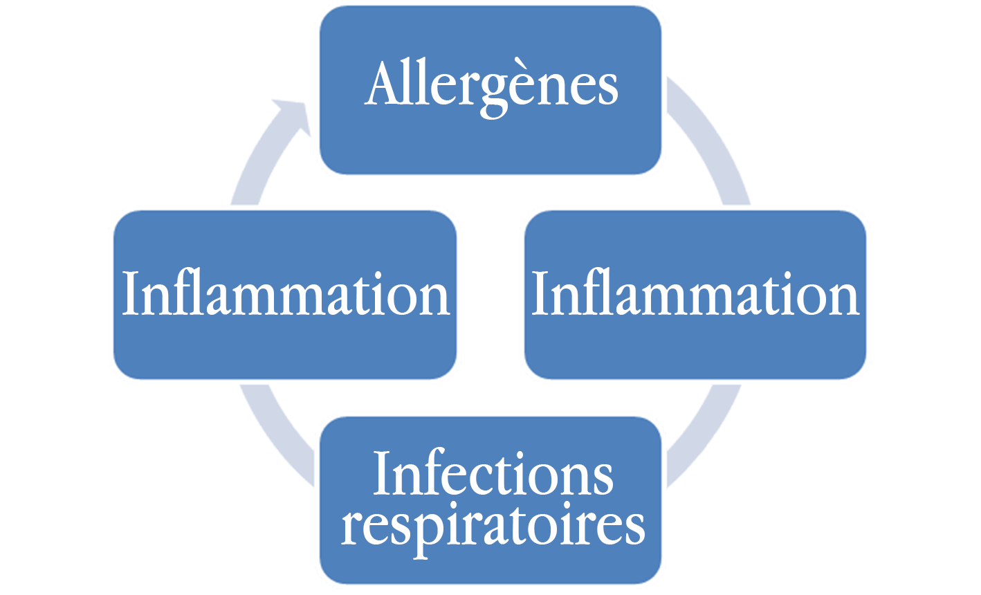 Graphique sur la relation entre les allergènes, l'inflammation et les infections respiratoires